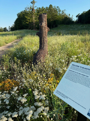 Bluestem Meadow Trail Marker Tree